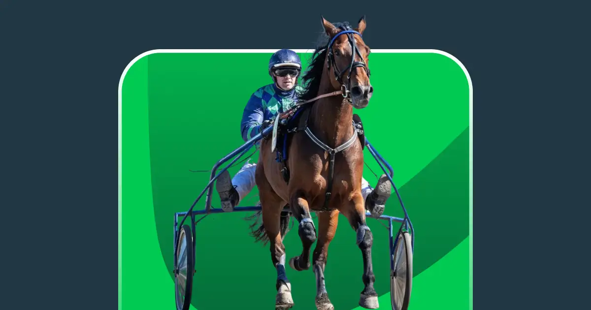 כל מה שצריך לדעת אודות הימורים על מרוצי רתמות ב-Stake: כללים, מנחים חשובים, סוגי בטים, אירועים גדולים, יחסי זכייה, טיפים ועוד.